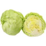 包菜