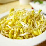 黄豆芽