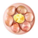 土豆