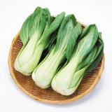 上海青