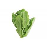 茼蒿