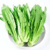 油麦菜