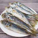 巴浪鱼脯