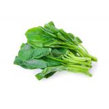 菠菜