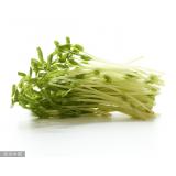 绿豆芽